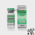 SP Labs Testosteron Enanthate 250mg 10ml